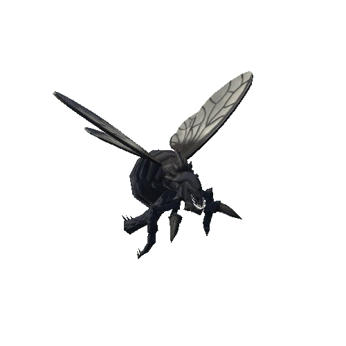 Flying Insect